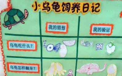 幼儿园活动区布置：自然角——观察记录