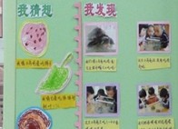 幼儿园活动区布置：小乌龟喜欢吃什么