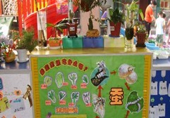 幼儿园活动区布置： 自然角