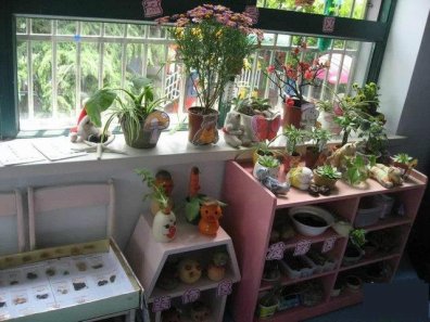 幼儿园活动区布置：自然角