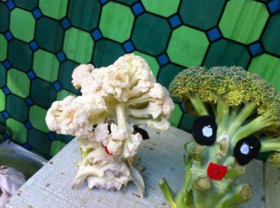 幼儿园活动区布置：自然角——菜花娃娃