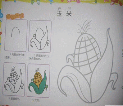 幼儿简笔画:玉米