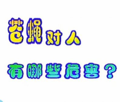 视频: 十万个为什么_苍蝇对人有哪些危害